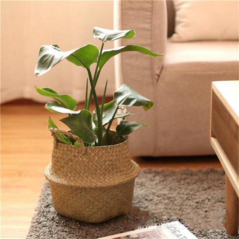 Panier en Osier Naturel — L’Accessoire Déco Qui Range Tout en Un Clin d’Œil !